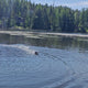 WaveStorm RC Boat